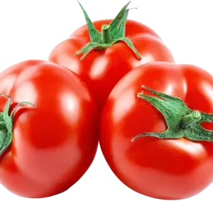 Tomato (Tamater)