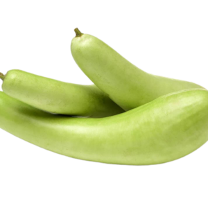 Bottle Gourd (Lauki/Doodhi)