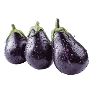 Brinjal Big (Baingan)