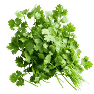 Coriander Leaves (Hara Dhaniya)