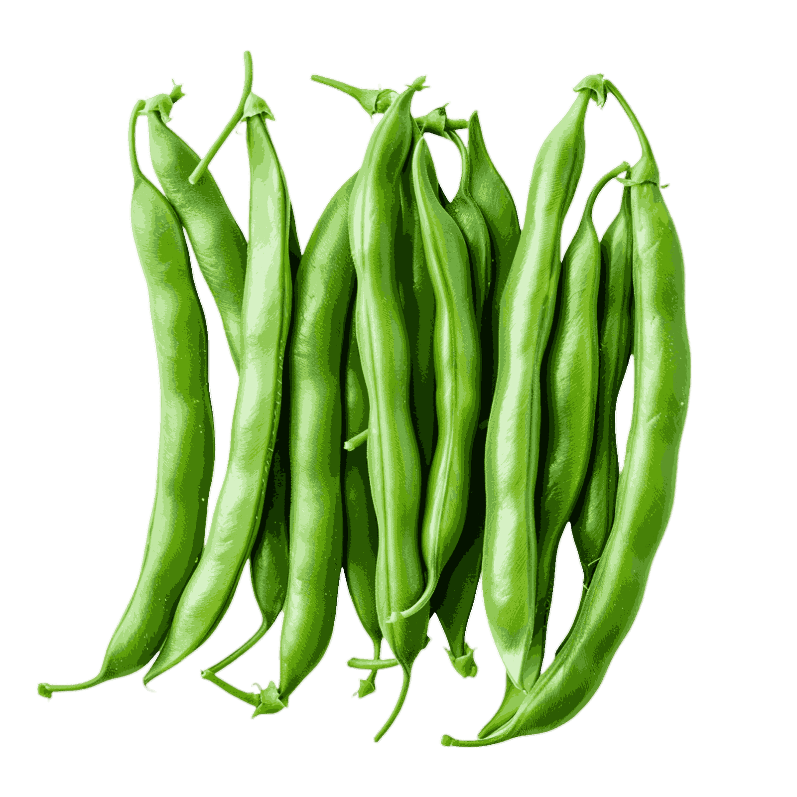 French Beans