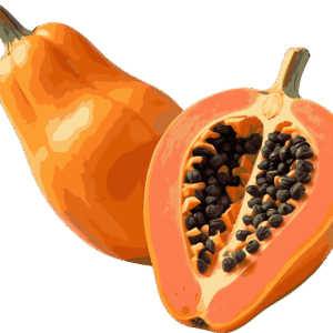 Papaya (Papita)
