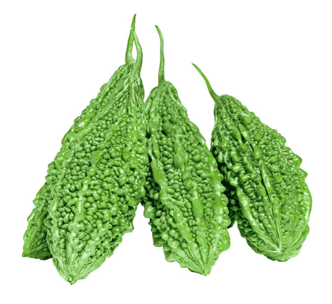 bitter gourd